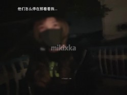 预览图14