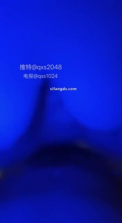 预览图12