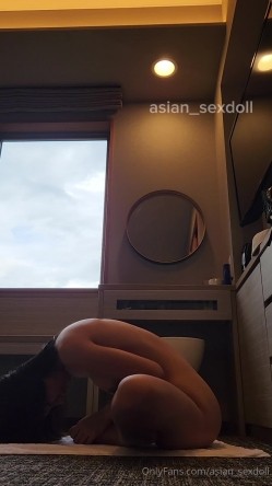预览图8