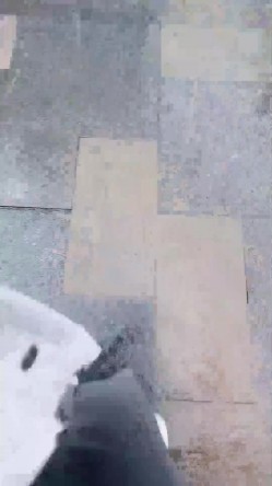 预览图7