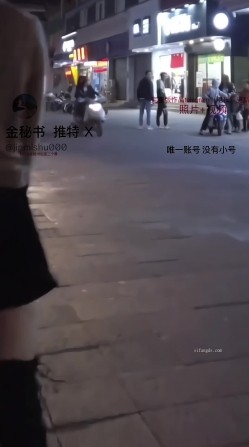 预览图4