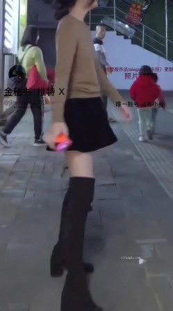 预览图8