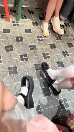 预览图5
