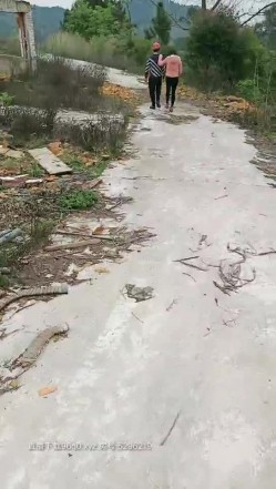 预览图2