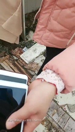 预览图11