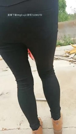 预览图12