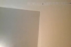 预览图8