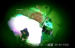 预览图1