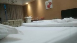 预览图4