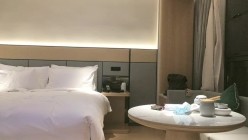 预览图5