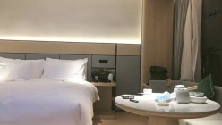 预览图8