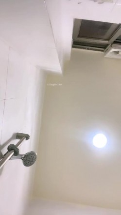 预览图5