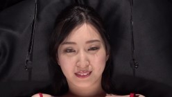 预览图12
