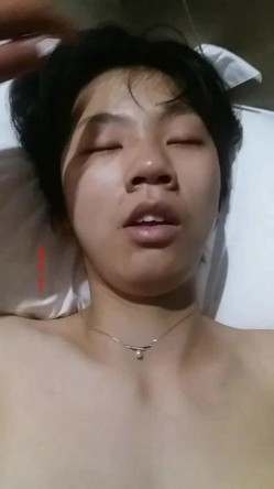 预览图5