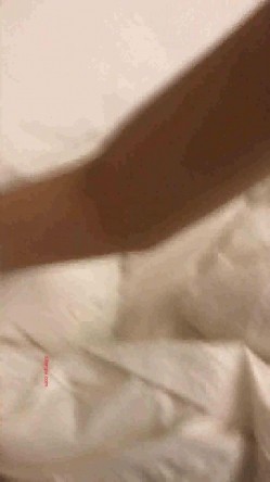 预览图12