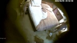 预览图12