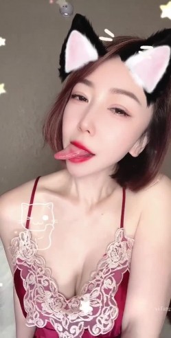 预览图5