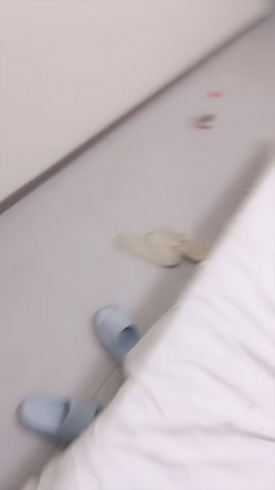 预览图8