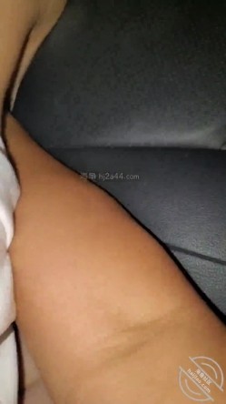 预览图6