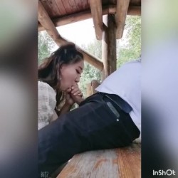 预览图15