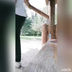 预览图16