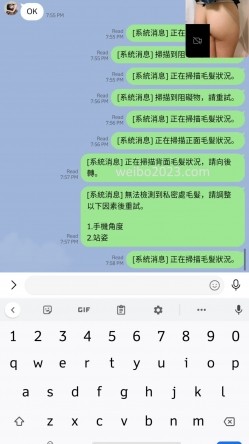 预览图12