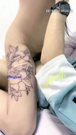 预览图11