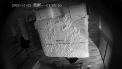预览图6
