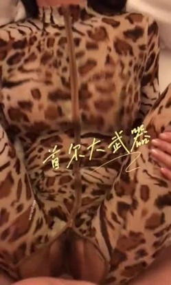 预览图4