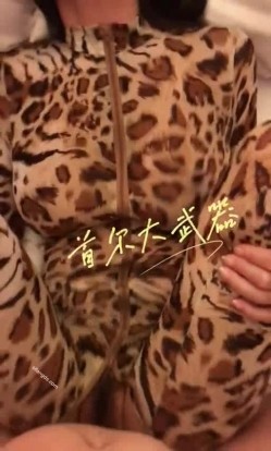 预览图5