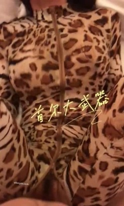 预览图6