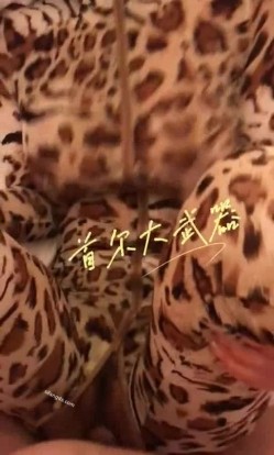 预览图7