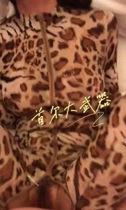 预览图8