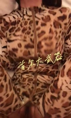 预览图9