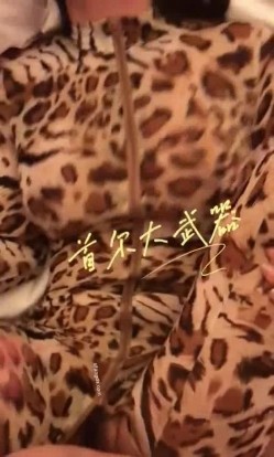 预览图10