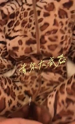 预览图11