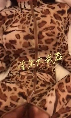 预览图12