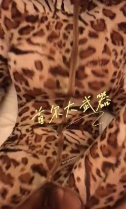 预览图14