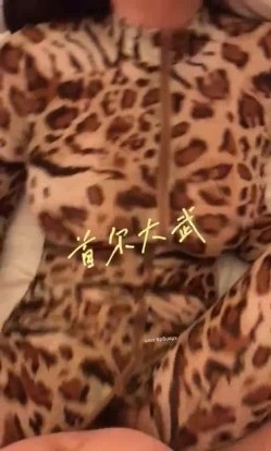 预览图15