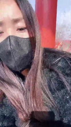 预览图2