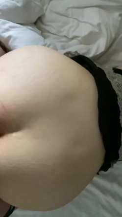 预览图6