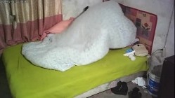 预览图8