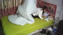 预览图9
