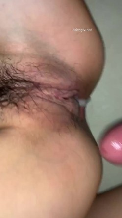 预览图15