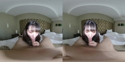 预览图5