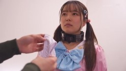 预览图4
