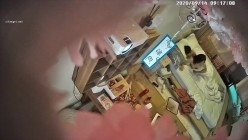 预览图1