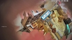 预览图10