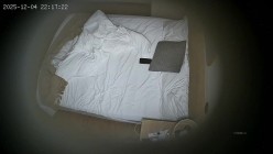 预览图6