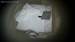 预览图7